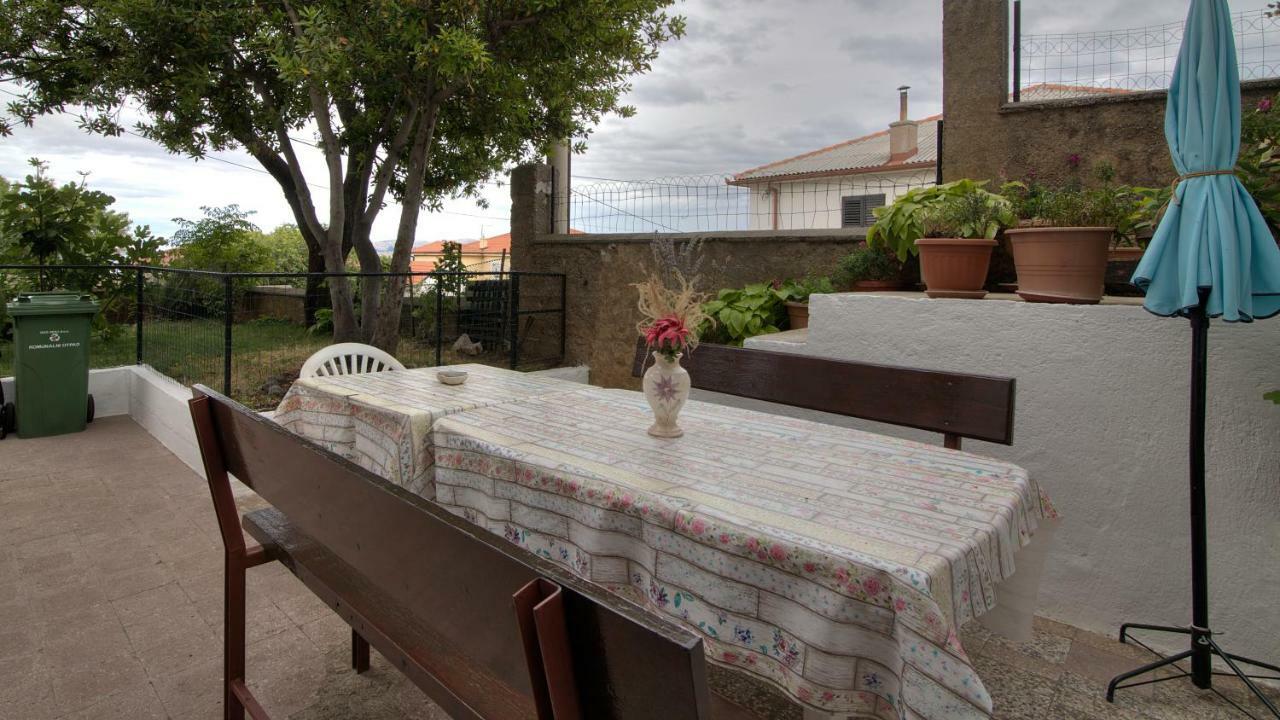 Apartment Marijanka 塞尼 外观 照片