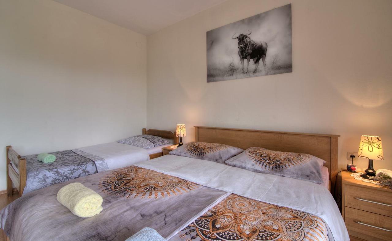 Apartment Marijanka 塞尼 外观 照片